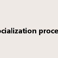 socialization process是什么意思