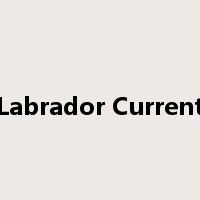 Labrador Current是什么意思