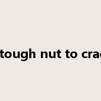 a tough nut to crack是什么意思