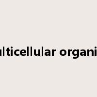 multicellular organism是什么意思