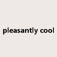 pleasantly cool是什么意思