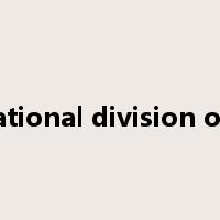 international division of labor是什么意思