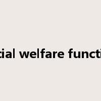 social welfare function是什么意思