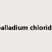 palladium chloride是什么意思