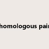 homologous pair是什么意思