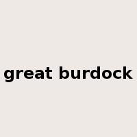 great burdock是什么意思