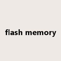 flash memory是什么意思