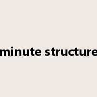 minute structure是什么意思
