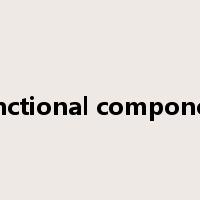 functional component是什么意思