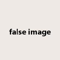 false image是什么意思