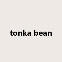 tonka bean是什么意思