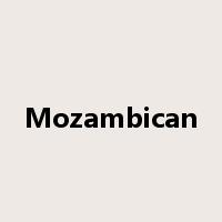 Mozambican是什么意思