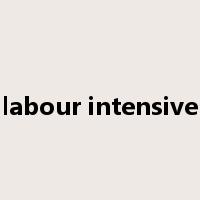 labour intensive是什么意思