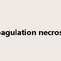 coagulation necrosis是什么意思
