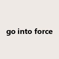 go into force是什么意思