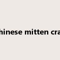 Chinese mitten crab是什么意思