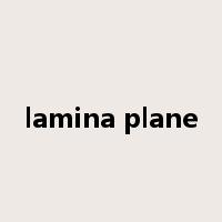 lamina plane是什么意思