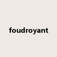 foudroyant是什么意思