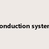 conduction system是什么意思