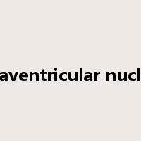 paraventricular nucleus是什么意思