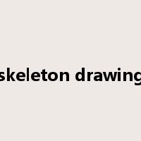 skeleton drawing是什么意思