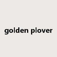 golden plover是什么意思
