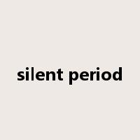 silent period是什么意思