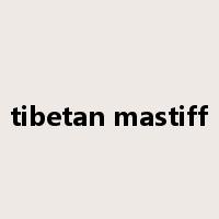 tibetan mastiff是什么意思