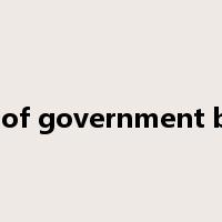 issue of government bonds是什么意思