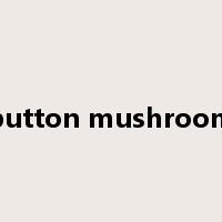 button mushroom是什么意思