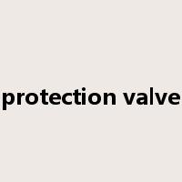 protection valve是什么意思