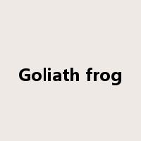 Goliath frog是什么意思