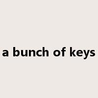 a bunch of keys是什么意思
