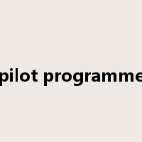pilot programme是什么意思