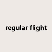 regular flight是什么意思