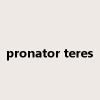 pronator teres是什么意思