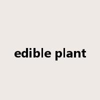 edible plant是什么意思