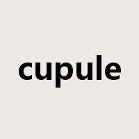 cupule是什么意思