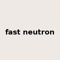 fast neutron是什么意思