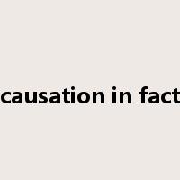 causation in fact是什么意思
