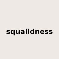 squalidness是什么意思