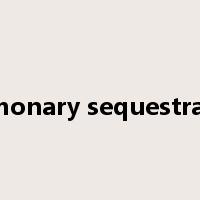 pulmonary sequestration是什么意思