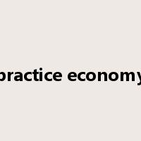 practice economy是什么意思