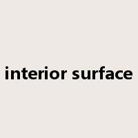 interior surface是什么意思