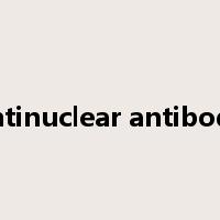 antinuclear antibody是什么意思