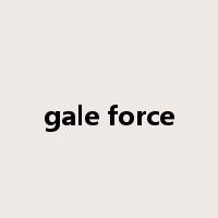 gale force是什么意思