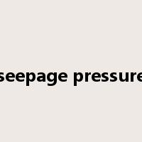 seepage pressure是什么意思