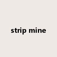 strip mine是什么意思