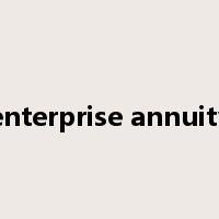 enterprise annuity是什么意思