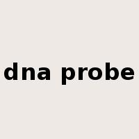 dna probe是什么意思